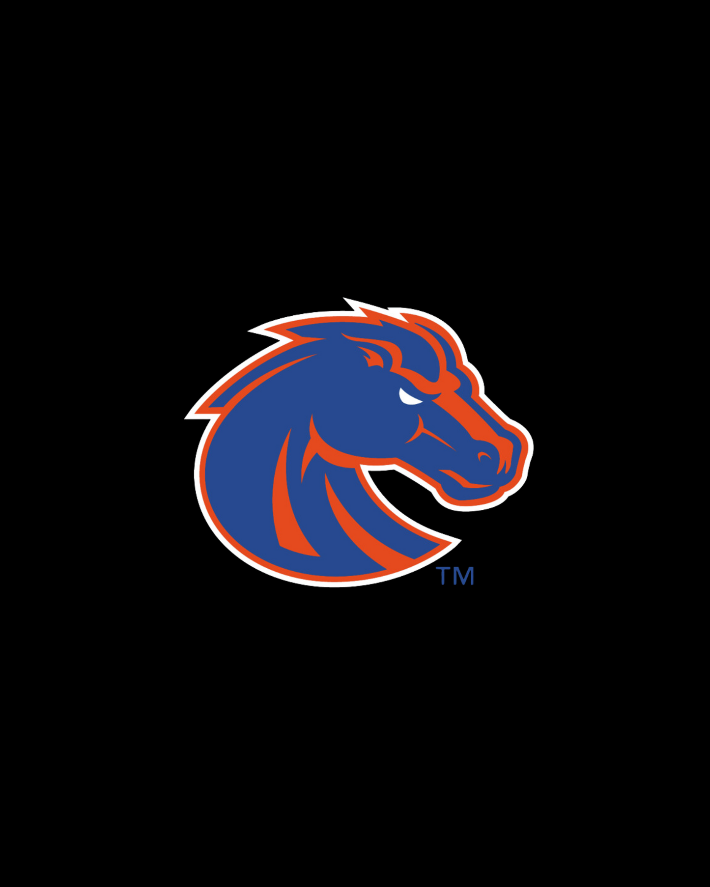 Boise State University - Iglu Blackout